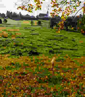 Impressionen in den Freibergen