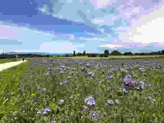 Sur le Bruderholz en direction de Bâle