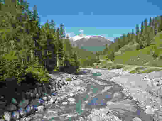 Zu den Wildtieren im Nationalpark