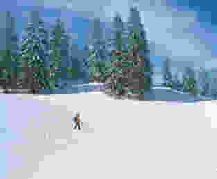 La Vue des Alpes