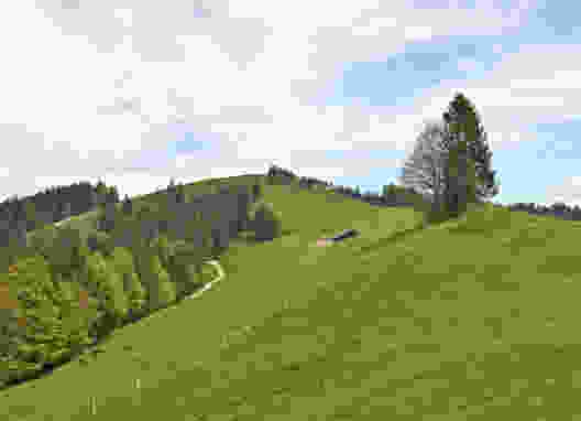 Alpages entre les lacs de Sihl et de Zurich
