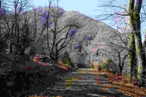 Par la route historique du Monte Ceneri