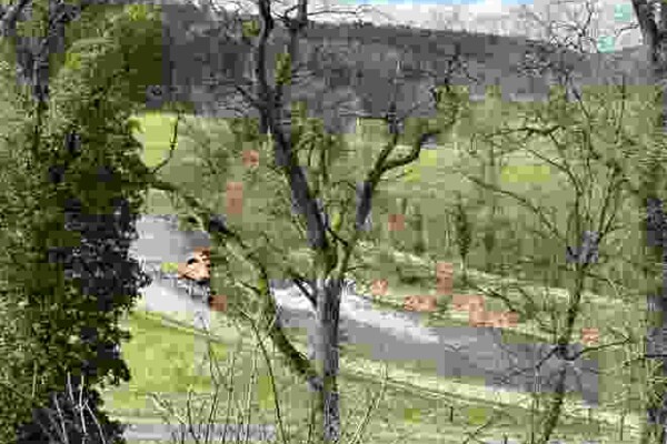 Rundwanderung bei Bülach