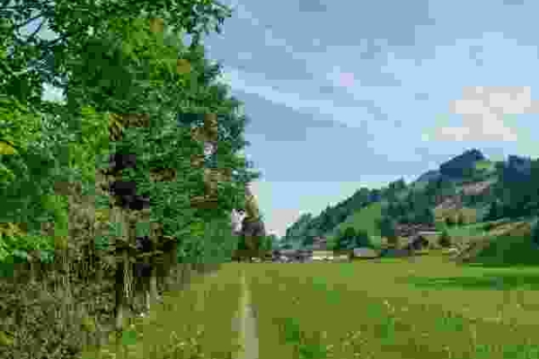 Belles collines de l'Entlebuch