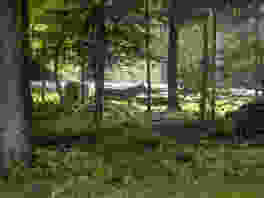 Dalla città attraverso la foresta fino a Kyburg