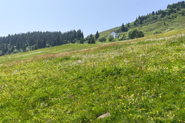 Eine tolle Aussicht von der Bündner Rigi aus