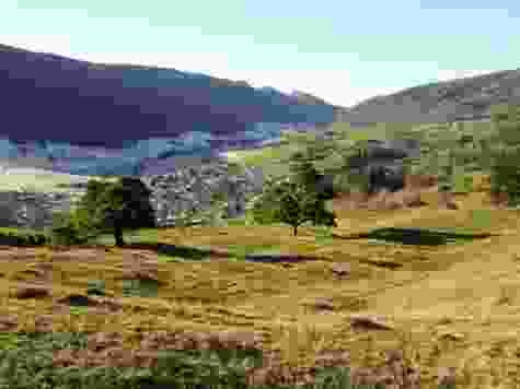 Auf dem Wolfsschluchtpfad im Naturpark Thal