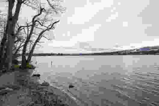 Winterlicher Gang dem Greifensee entlang