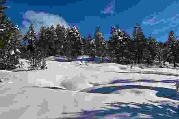 Schneeschuhwanderung Schlierengrat/Rorersmatt