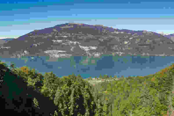Malerisches Wandern über dem Thunersee
