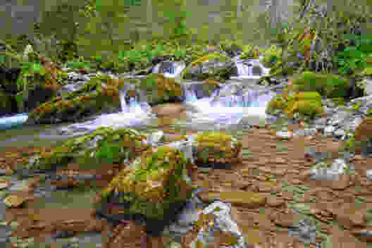 Aux sources de la Vièze