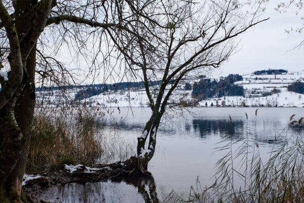 Douceur près du lac de Baldegg