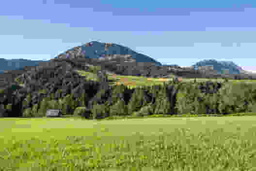Die Kleine und die Grosse Entle