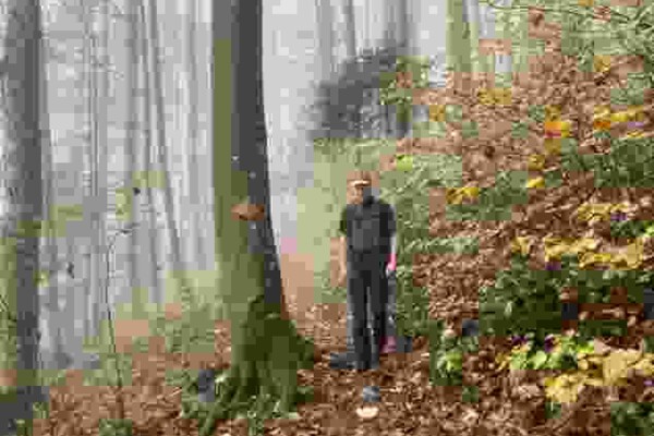 Ambiance mystique en passant par la Homberglücke
