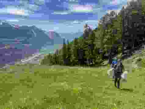 Auf Wespensuche an der Südrampe