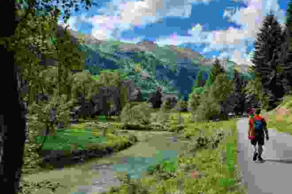 Alpeggi in fiore e torbiere alte sul Lucomagno