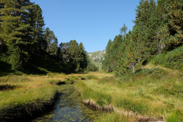 De la Valle di Blenio à la Leventina