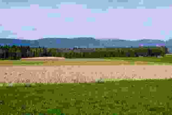 De la vallée soleuroise de la Limpach à l’Aar