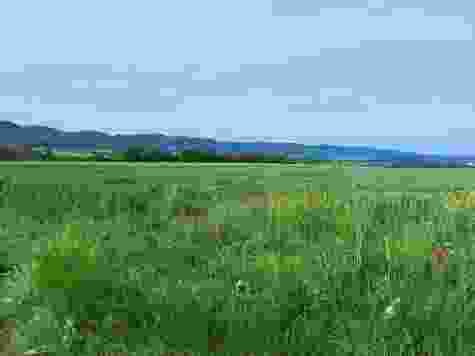 Stille erleben auf dem Jura-Höhenweg in der Ajoie