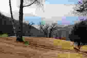 Contra - Monti di Motti - Tenero