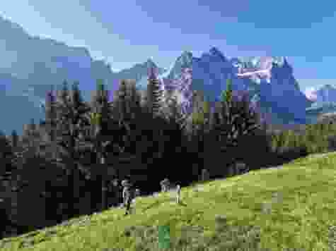 Promenade à l’Alp Grindel