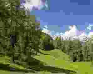 S08: Bisse de Saxon