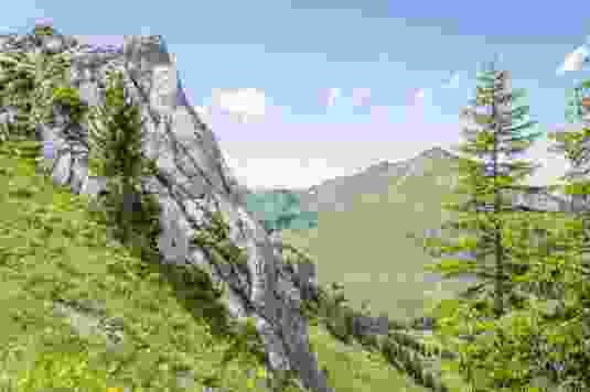 Filigrane Gäste an den Gastlosen
