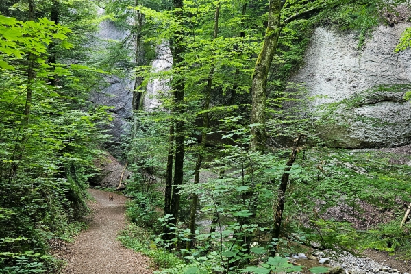 La fraîcheur des gorges de Choleren