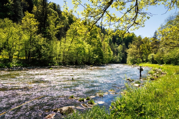 Frühlingswanderung durch Moränenlandschaft