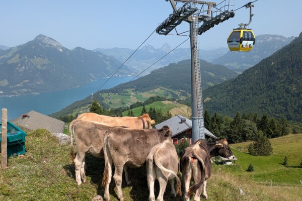 Klewenalp