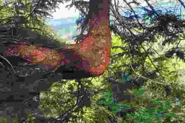 Von Wyssachen nach Dürrenroth im Emmental
