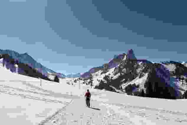 Kurze Rundtour für Sonnenhungrige