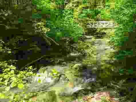 Nature sauvage, nature cultivée