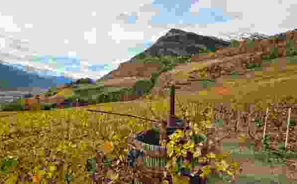 Farinet ou l’or dans la montagne