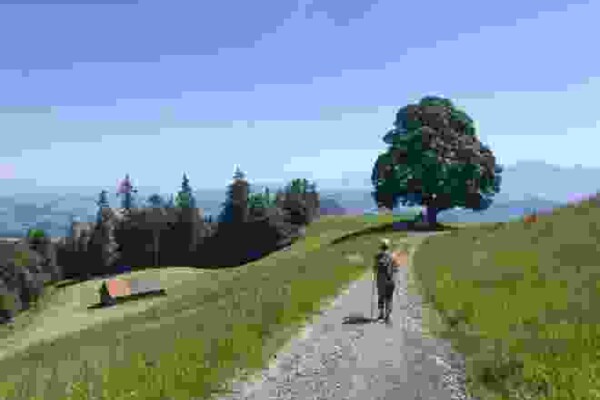 Randonnée familiale dans un paysage de drumlins