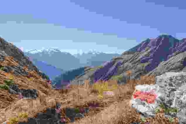 Suone und Panorama am Foggenhorn