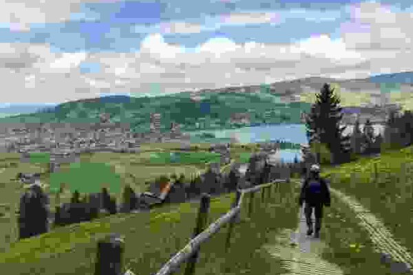 Vom Ägerisee hinauf zu den Hochmooren