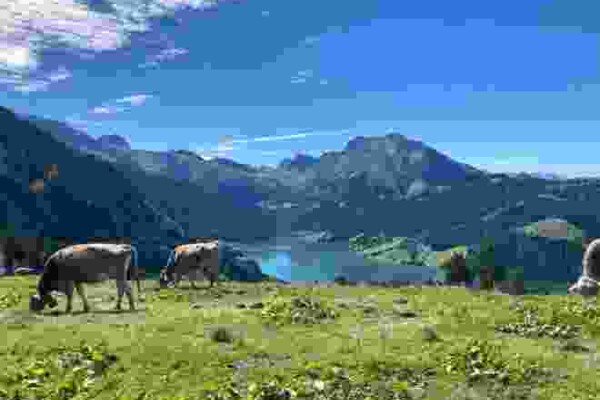 Panoramaweg Salbügel nach Innerthal