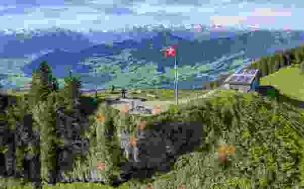 Des orchidées sur le chemin du Wildspitz