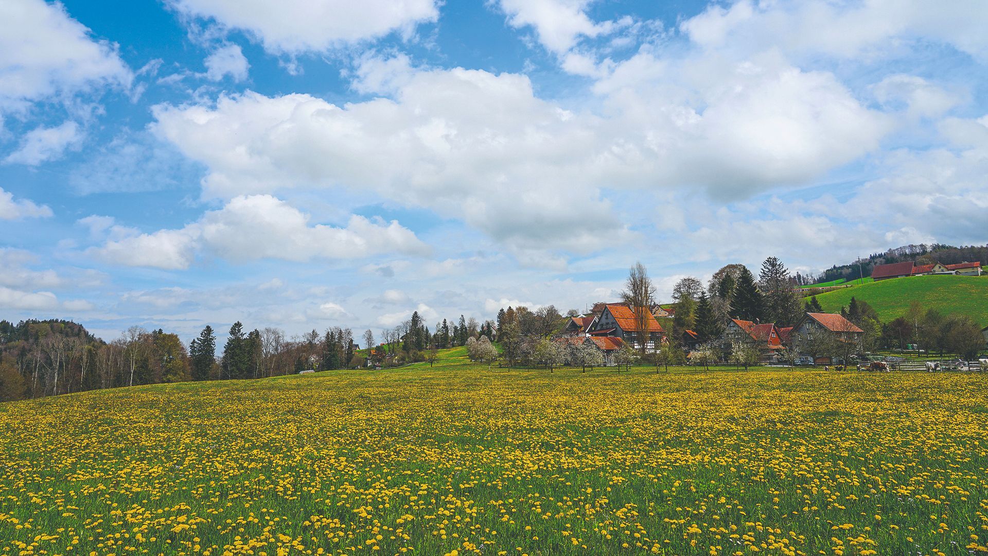 13 Schwänberg