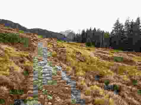 Der Alpweg am Fuss der Pilatuskette wurde im Zweiten Weltkrieg von polnischen Internierten gebaut.