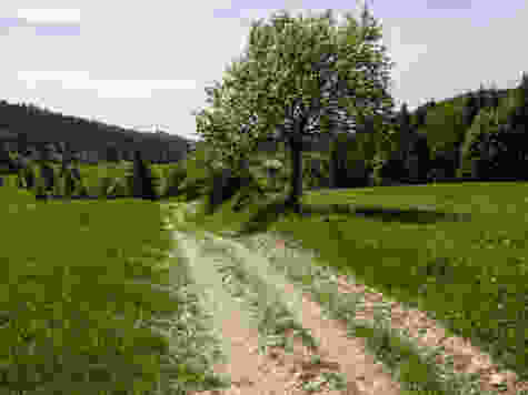 Ab Grange des Miroirs verläuft der Weg auf der Nordseite des Höhenrückens Montagne du Larmont.