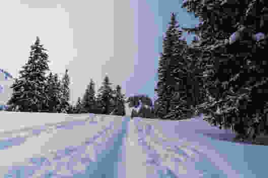 Winterlicher Schneeschuhpfad neben Slalomspuren der Skitourenfahrer. Bild: Jon Guler