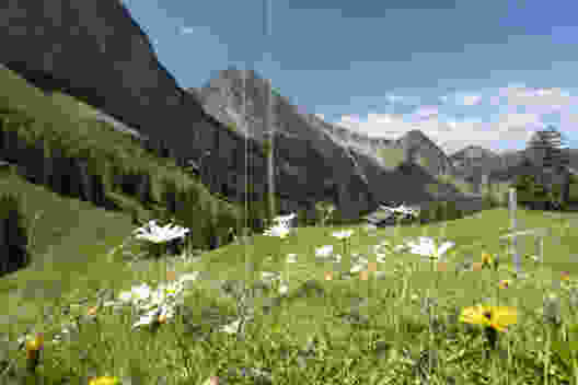 Die Wanderung führt über die Oberbauenalp zum Rinderbüel. Bild: Markus Ruff
