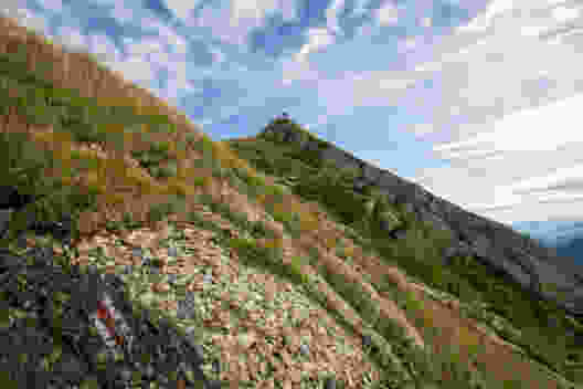 Vom Aufstieg auf den Speer aus sieht man im Vordergrund deutlich die Nagelfluh, aus der der Berg besteht. Bild: Daniel Fleuti