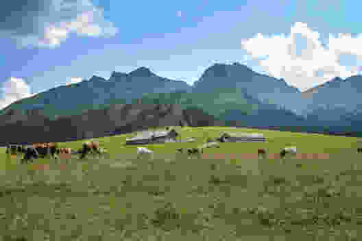 Das Plateau von Pra Cornet: Feuchtgebiet, Weide und eine grandiose Aussicht.