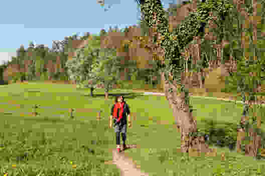 Une partie du chemin fort agréable près de Friedberg. Photo: Raja Läubli