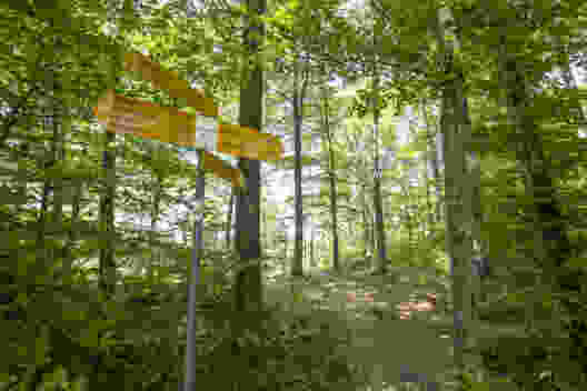 Auf der Schaftenflue zweigt man ab Richtung Teufen, um zur Brueder-Lienert-Höhle zu gelangen. Der direkte Weg nach Irchel Hochwacht geht nicht bei der Höhle vorbei. Bild: Daniel Fleuti