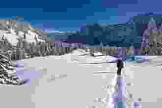 A gauche les Préalpes, à droite les Alpes et la petite vallée au milieu