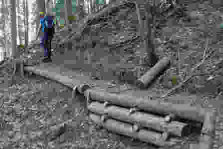 Neu gelangt man trockenen Fusses durch den Wald. Bild: Thorsten Kaletsch